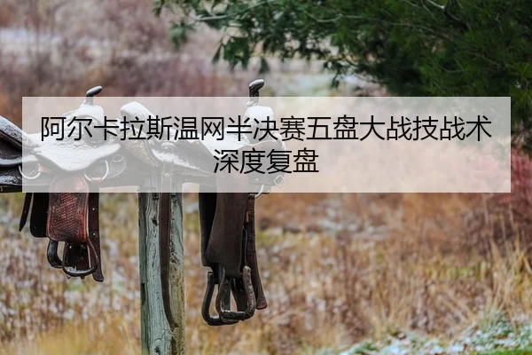 a-er-ka-la-si-wen-wang-ban-jue-sai-wu-pan-da-zhan-ji-zhan-shu-shen-du-fu-pan-2-110.jpg