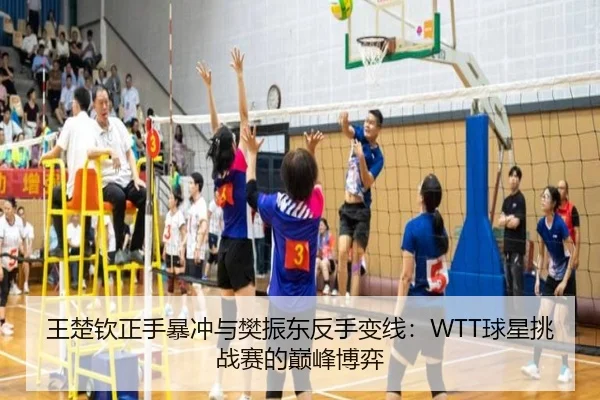 王楚钦正手暴冲与樊振东反手变线：WTT球星挑战赛的巅峰博弈