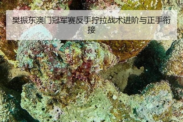 fan-zhen-dong-ao-men-guan-jun-sai-fan-shou-ning-la-zhan-shu-jin-jie-yu-zheng-shou-xian-jie-2-403.jpg