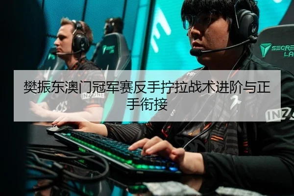 樊振东澳门冠军赛反手拧拉战术进阶与正手衔接
